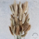 Dried Bunny Tails
