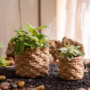 Grass Woven Looking Cement Planter