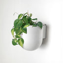 Wall Mounted Upcycled Planter Pot
