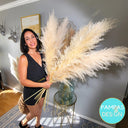 Huge Xl Fluffy Pampas Grass