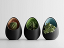Vases