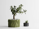 Geometric Minimalistic Tree Bark Planter