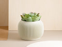 Scandinavian Plant Pot