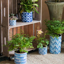 Blue Print Ceramic Vase Planter