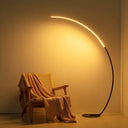 Arched Floor Lamp