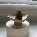 Aglaya - Pedestal Bowl