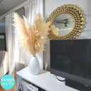 Huge Xl Fluffy Pampas Grass