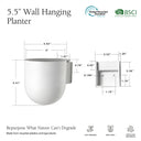 Wall Mounted Upcycled Planter Pot