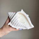 Conch Shell Container Soy Wax Candle