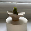 Aglaya - Pedestal Bowl