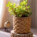 Grass Woven Looking Cement Planter