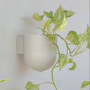 Wall Mounted Upcycled Planter Pot