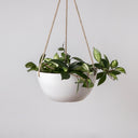 Rounded Stone Hanging Planter
