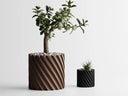 Minimalistic Twisted Planter