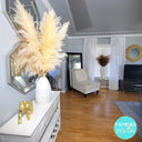 Huge Xl Fluffy Pampas Grass