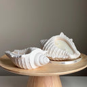 Conch Shell Container Soy Wax Candle