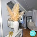 Huge Xl Fluffy Pampas Grass