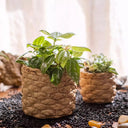 Grass Woven Looking Cement Planter